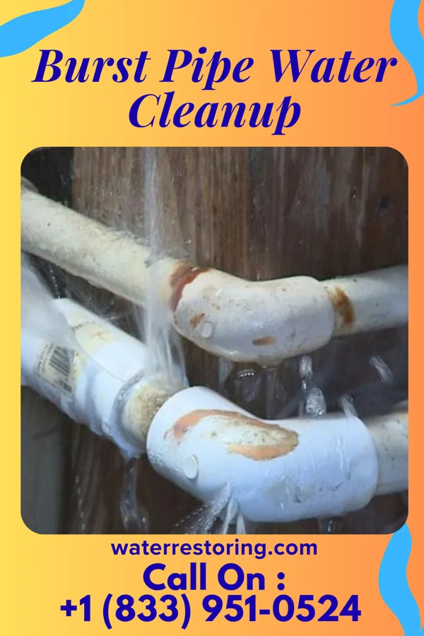 Burst Pipe Water Cleanup in Lake Placid, NY