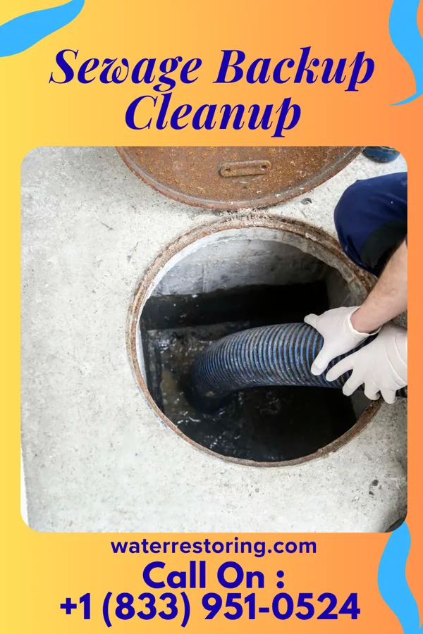 Sewage Backup Cleanup in Lake Placid, NY
